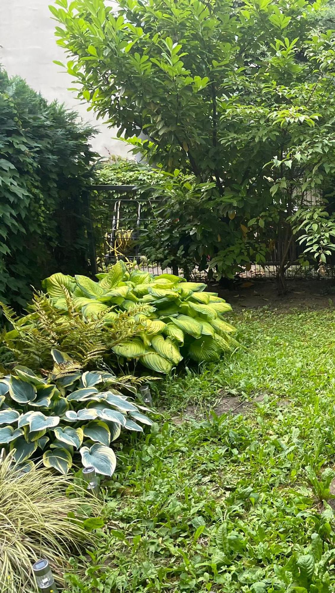 Apartment Mit Logia Und Kleinen Garten In Zentraler Lage 2 Vienne Extérieur photo